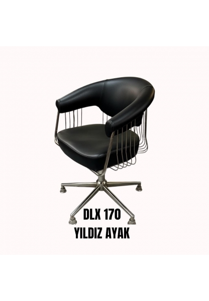DLX 170/A5 AMORTİSÖR YILDIZ AYAKLI KUAFÖR KESİM KOLTUĞU